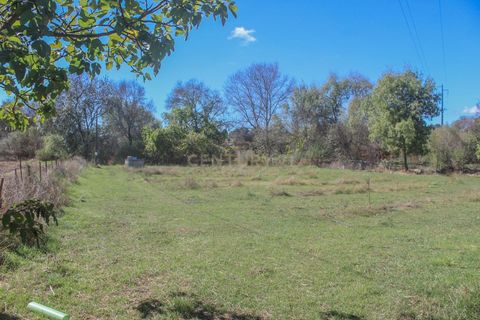 Farm hus i Castelo Branco, Castelo Branco, Castelo Branco - € 219.500 | Ref: C0372-01444 - foto 22