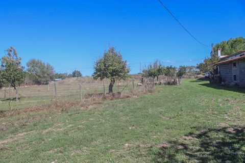 Farm hus i Castelo Branco, Castelo Branco, Castelo Branco - € 219.500 | Ref: C0372-01444 - foto 23
