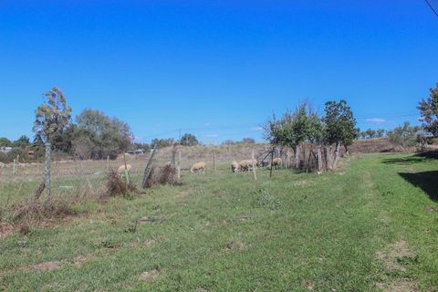 Farm hus i Castelo Branco, Castelo Branco, Castelo Branco - € 219.500 | Ref: C0372-01444 - foto 25