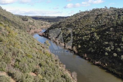 Helårsgrund i Castelo Branco, Castelo Branco, Castelo Branco - € 11.750 | Ref: H766 - foto 4