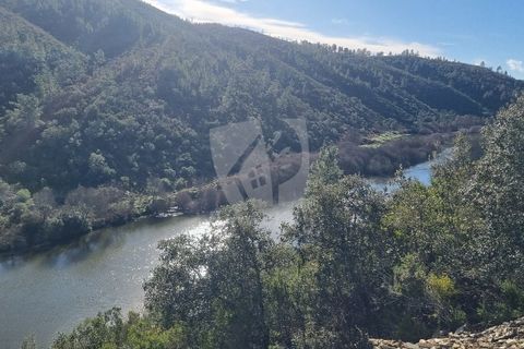 Helårsgrund i Castelo Branco, Castelo Branco, Castelo Branco - € 11.750 | Ref: H766 - foto 7