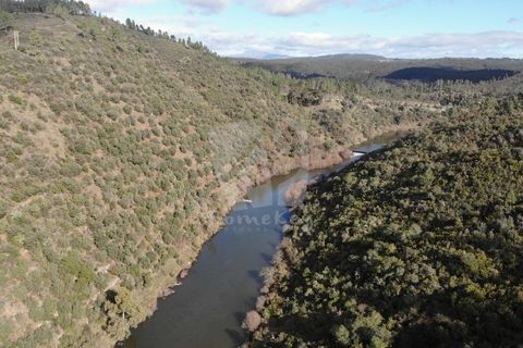 Helårsgrund i Castelo Branco, Castelo Branco, Castelo Branco - € 11.750 | Ref: H766 - foto 12