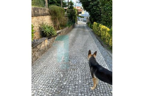 Villa i Vila Nova de Gaia, Porto, Vila Nova de Gaia - € 1.000.000 | Ref: CAS_2410 - foto 4