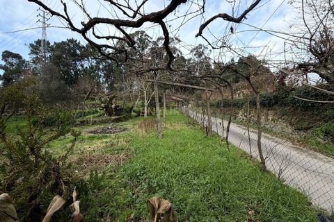 Villa i Penafiel, Porto, Penafiel - € 229.000 | Ref: C0478-00219 - foto 29