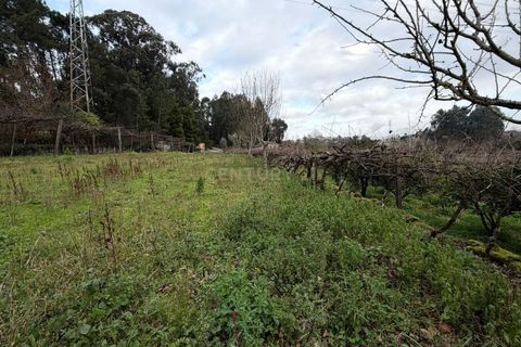 Villa i Penafiel, Porto, Penafiel - € 229.000 | Ref: C0478-00219 - foto 33