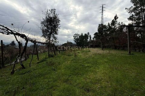 Villa i Penafiel, Porto, Penafiel - € 229.000 | Ref: C0478-00219 - foto 34