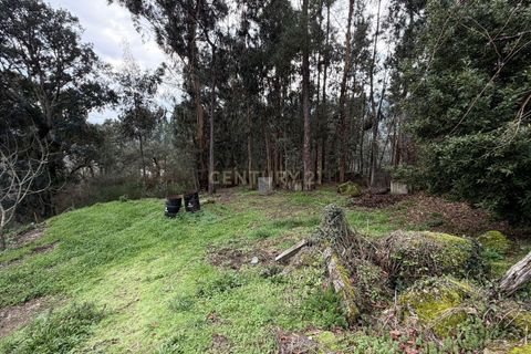 Villa i Penafiel, Porto, Penafiel - € 229.000 | Ref: C0478-00219 - foto 35
