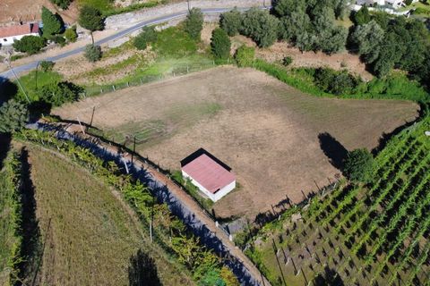 Helårsgrund i Arcos de Valdevez, Viana do Castelo, Arcos de Valdevez - € 36.000 | Ref: AVV-011-041 - foto 5