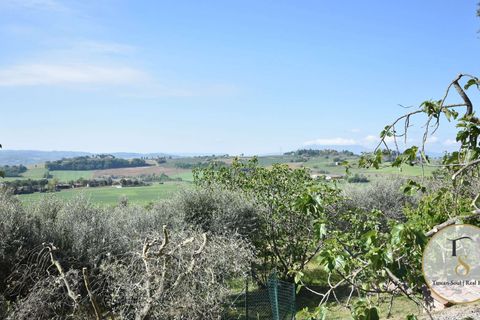 Farm hus i Perugia, Perugia, Perugia - € 1.490.000 | Ref: CDL231-831704 - foto 22