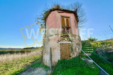 Villa i Mafra, Lisbon, Mafra - € 750.000 | Ref: 6027WE - foto 32