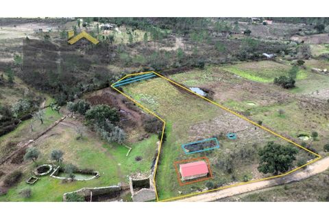 Farm i Castelo Branco, Castelo Branco, Castelo Branco - € 25.000 | Ref: 5000 - foto 1