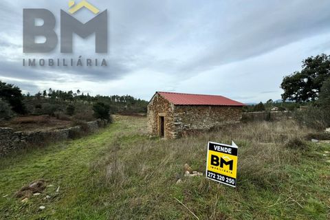 Farm i Castelo Branco, Castelo Branco, Castelo Branco - € 25.000 | Ref: 5000 - foto 2