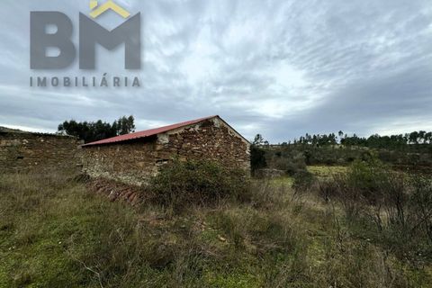 Farm i Castelo Branco, Castelo Branco, Castelo Branco - € 25.000 | Ref: 5000 - foto 3