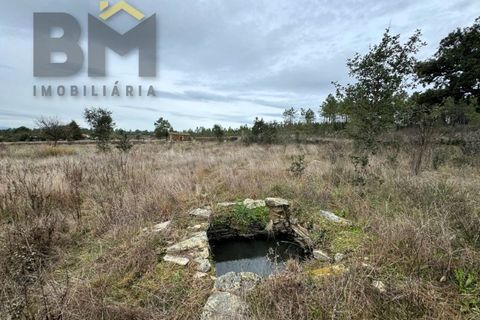 Farm i Castelo Branco, Castelo Branco, Castelo Branco - € 25.000 | Ref: 5000 - foto 6