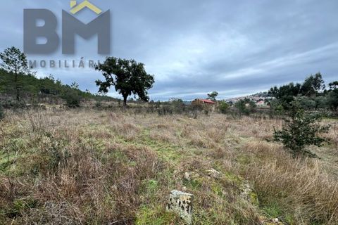 Farm i Castelo Branco, Castelo Branco, Castelo Branco - € 25.000 | Ref: 5000 - foto 8