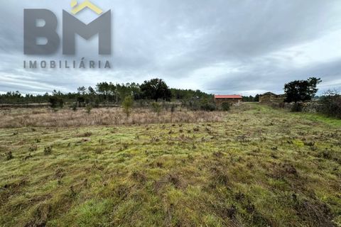 Farm i Castelo Branco, Castelo Branco, Castelo Branco - € 25.000 | Ref: 5000 - foto 9