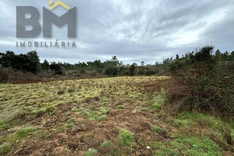 Farm i Castelo Branco, Castelo Branco, Castelo Branco - € 25.000 | Ref: 5000 - foto 10