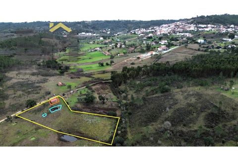 Farm i Castelo Branco, Castelo Branco, Castelo Branco - € 25.000 | Ref: 5000 - foto 11