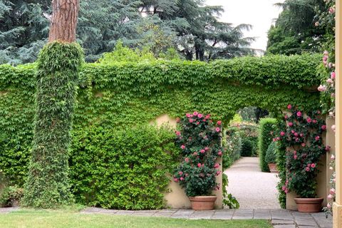 Villa i Cesena, Forli-Cesena, Cesena - € 1 800 000 | Ref: CBI131-2181-1948 - foto 5