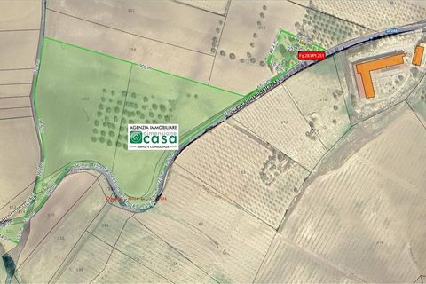 Terra a Caltanissetta, Caltanissetta, Caltanissetta - € 95.000 | Ref: TA75 - foto 2