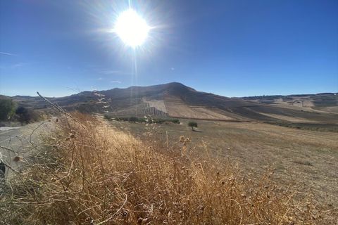 Terra a Caltanissetta, Caltanissetta, Caltanissetta - € 95.000 | Ref: TA75 - foto 4