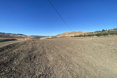 Terra a Caltanissetta, Caltanissetta, Caltanissetta - € 95.000 | Ref: TA75 - foto 5