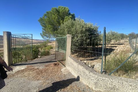 Terra a Caltanissetta, Caltanissetta, Caltanissetta - € 95.000 | Ref: TA75 - foto 9
