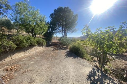 Terra a Caltanissetta, Caltanissetta, Caltanissetta - € 95.000 | Ref: TA75 - foto 10