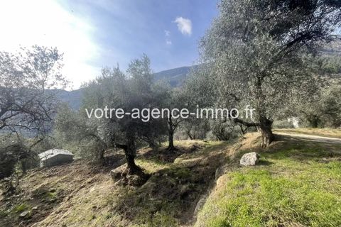 Terra a Coaraze, Alpes-Maritimes, Coaraze - € 149.000 | Ref: 86681183 - foto 5