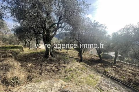 Terra a Coaraze, Alpes-Maritimes, Coaraze - € 149.000 | Ref: 86681183 - foto 7