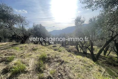 Terra a Coaraze, Alpes-Maritimes, Coaraze - € 149.000 | Ref: 86681183 - foto 9