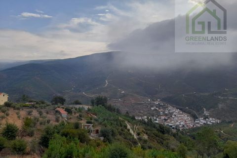 Villa i Arganil, Coimbra, Arganil - € 215.000 | Ref: 569 - foto 40