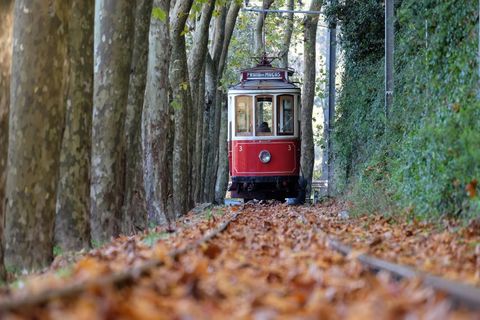 Helårsgrund i Sintra, Lisbon, Sintra - € 600.000 | Ref: CB02-0366 - foto 17