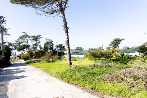 Helårsgrund i Sintra, Lisbon, Sintra - € 600.000 | Ref: CB02-0366 - foto 2
