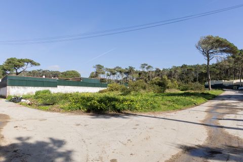 Helårsgrund i Sintra, Lisbon, Sintra - € 600.000 | Ref: CB02-0366 - foto 3