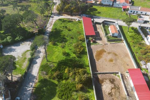Helårsgrund i Sintra, Lisbon, Sintra - € 600.000 | Ref: CB02-0366 - foto 4