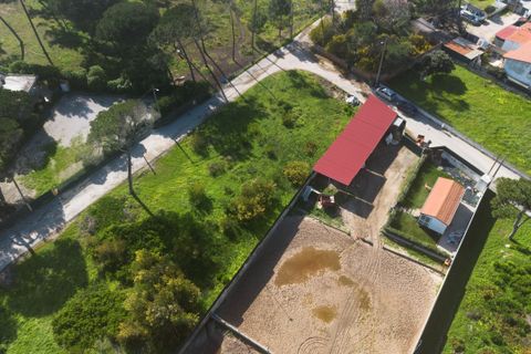 Helårsgrund i Sintra, Lisbon, Sintra - € 600.000 | Ref: CB02-0366 - foto 6