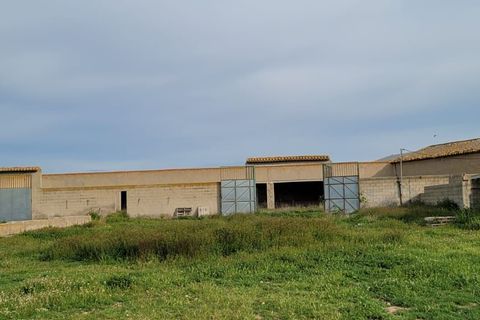 Helårsgrund i Jumilla, Murcia, Jumilla - € 3.000.000 | Ref: 81fada7b-be8d-4950-b - foto 5