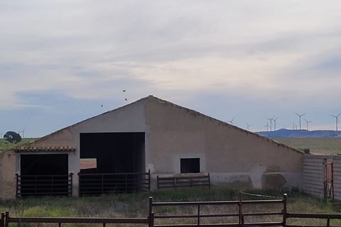 Helårsgrund i Jumilla, Murcia, Jumilla - € 3.000.000 | Ref: 81fada7b-be8d-4950-b - foto 6