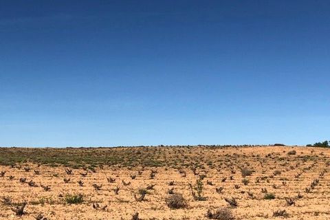 Helårsgrund i Jumilla, Murcia, Jumilla - € 3.000.000 | Ref: 81fada7b-be8d-4950-b - foto 8
