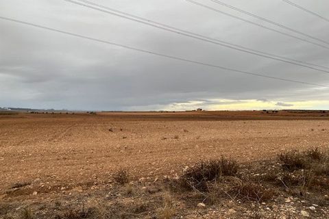 Helårsgrund i Jumilla, Murcia, Jumilla - € 3.000.000 | Ref: 81fada7b-be8d-4950-b - foto 11