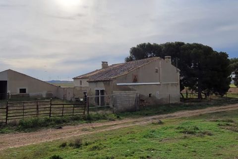 Helårsgrund i Jumilla, Murcia, Jumilla - € 3.000.000 | Ref: 81fada7b-be8d-4950-b - foto 12
