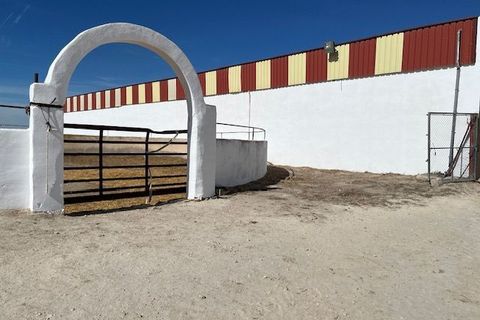 Helårsgrund i Jumilla, Murcia, Jumilla - € 3.000.000 | Ref: 81fada7b-be8d-4950-b - foto 16