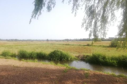 Villa i Tribehou, Manche, Tribehou - € 239.600 | Ref: 190093 - foto 13