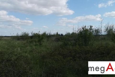 Terra a Izotges, Gers, Izotges - € 37.000 | Ref: 197138 - foto 7