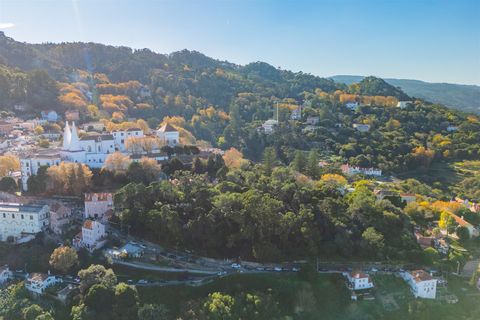 Farm i Sintra, Lisbon, Sintra - € 4.000.000 | Ref: DH912 - foto 2