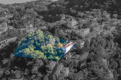 Farm i Sintra, Lisbon, Sintra - € 4.000.000 | Ref: DH912 - foto 4