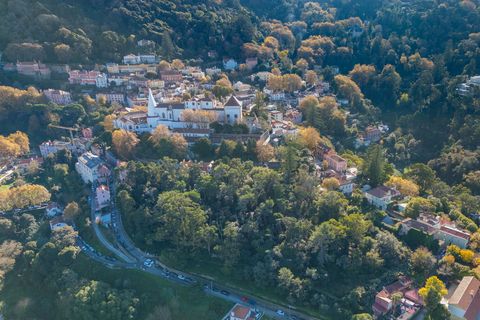 Farm i Sintra, Lisbon, Sintra - € 4.000.000 | Ref: DH912 - foto 5