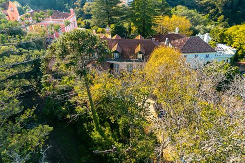 Farm i Sintra, Lisbon, Sintra - € 4.000.000 | Ref: DH912 - foto 6