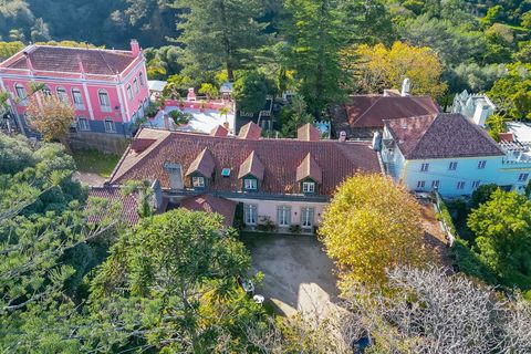 Farm i Sintra, Lisbon, Sintra - € 4.000.000 | Ref: DH912 - foto 7